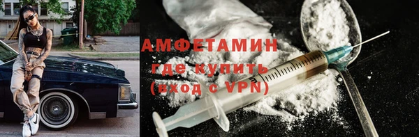 крисы Богородицк